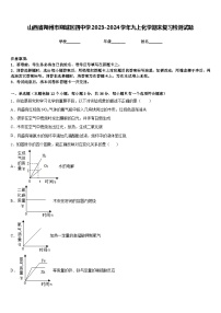 山西省朔州市朔城区四中学2023-2024学年九上化学期末复习检测试题含答案