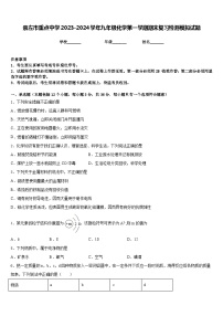 崇左市重点中学2023-2024学年九年级化学第一学期期末复习检测模拟试题含答案