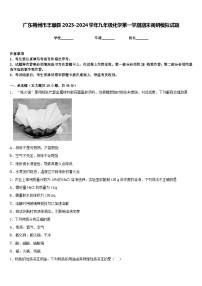 广东梅州市丰顺县2023-2024学年九年级化学第一学期期末调研模拟试题含答案