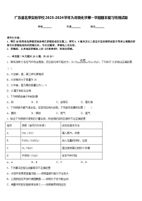 广东省北亭实验学校2023-2024学年九年级化学第一学期期末复习检测试题含答案