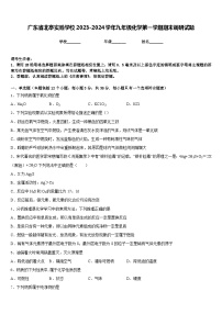 广东省北亭实验学校2023-2024学年九年级化学第一学期期末调研试题含答案