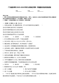 广东省东莞市2023-2024学年九年级化学第一学期期末质量检测试题含答案