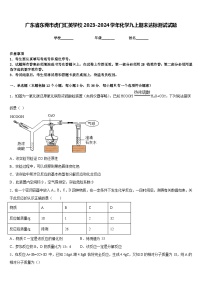 广东省东莞市虎门汇英学校2023-2024学年化学九上期末达标测试试题含答案