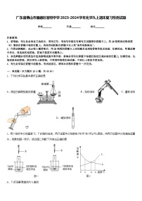 广东省佛山市顺德区容桂中学2023-2024学年化学九上期末复习检测试题含答案