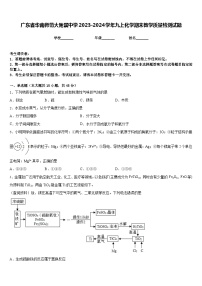 广东省华南师范大附属中学2023-2024学年九上化学期末教学质量检测试题含答案