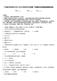 广东省云浮市名校2023-2024学年化学九年级第一学期期末质量跟踪监视模拟试题含答案