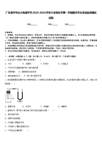 广东省中学山大附属中学2023-2024学年九年级化学第一学期期末学业质量监测模拟试题含答案