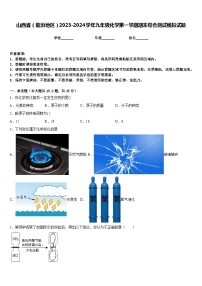 山西省（临汾地区）2023-2024学年九年级化学第一学期期末综合测试模拟试题含答案