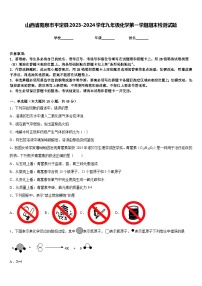 山西省阳泉市平定县2023-2024学年九年级化学第一学期期末检测试题含答案