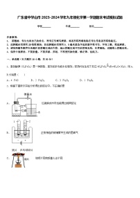 广东省中学山市2023-2024学年九年级化学第一学期期末考试模拟试题含答案