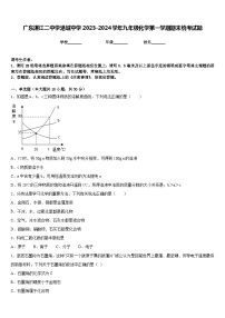 广东湛江二中学港城中学2023-2024学年九年级化学第一学期期末统考试题含答案