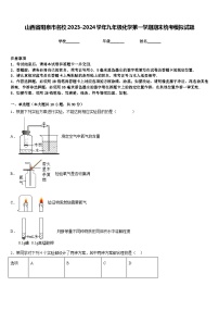 山西省阳泉市名校2023-2024学年九年级化学第一学期期末统考模拟试题含答案