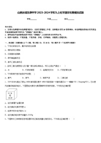 山西运城东康中学2023-2024学年九上化学期末经典模拟试题含答案