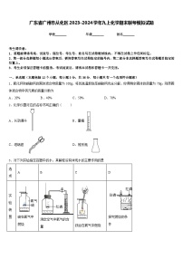 广东省广州市从化区2023-2024学年九上化学期末联考模拟试题含答案