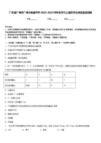 广东省广州市广州大附属中学2023-2024学年化学九上期末学业质量监测试题含答案