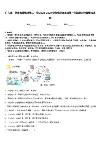 广东省广州市南沙榄核第二中学2023-2024学年化学九年级第一学期期末经典模拟试题含答案