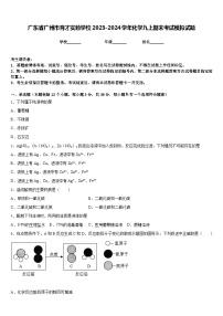 广东省广州市育才实验学校2023-2024学年化学九上期末考试模拟试题含答案