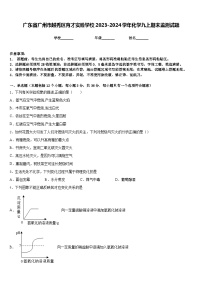 广东省广州市越秀区育才实验学校2023-2024学年化学九上期末监测试题含答案