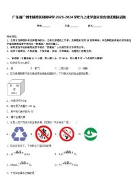 广东省广州市越秀区知用中学2023-2024学年九上化学期末综合测试模拟试题含答案