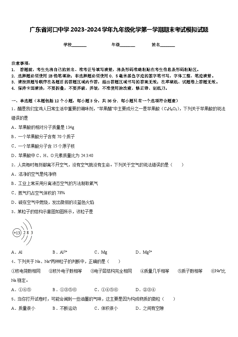 广东省河口中学2023-2024学年九年级化学第一学期期末考试模拟试题含答案第1页