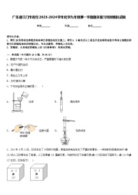 广东省江门市名校2023-2024学年化学九年级第一学期期末复习检测模拟试题含答案