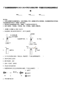 广东省揭阳揭西县联考2023-2024学年九年级化学第一学期期末质量跟踪监视模拟试题含答案