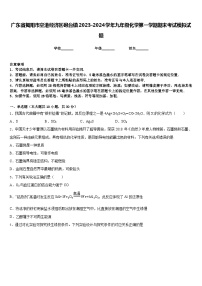 广东省揭阳市空港经济区砲台镇2023-2024学年九年级化学第一学期期末考试模拟试题含答案