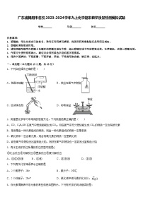 广东省揭阳市名校2023-2024学年九上化学期末教学质量检测模拟试题含答案