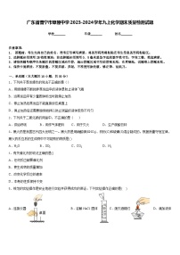 广东省普宁市燎原中学2023-2024学年九上化学期末质量检测试题含答案