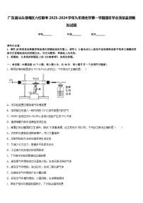 广东省汕头澄海区六校联考2023-2024学年九年级化学第一学期期末学业质量监测模拟试题含答案