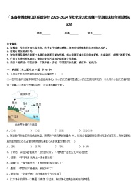 广东省梅州市梅江区伯聪学校2023-2024学年化学九年级第一学期期末综合测试模拟试题含答案