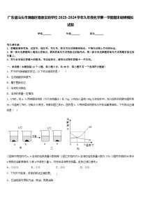 广东省汕头市潮南区博崇实验学校2023-2024学年九年级化学第一学期期末调研模拟试题含答案