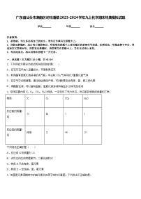 广东省汕头市潮南区司马浦镇2023-2024学年九上化学期末经典模拟试题含答案