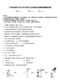 广东省汕尾市2023-2024学年九上化学期末质量跟踪监视模拟试题含答案