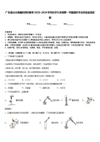 广东省汕头潮南区四校联考2023-2024学年化学九年级第一学期期末学业质量监测试题含答案