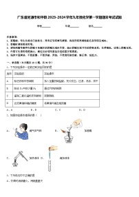 广东省河源市和平县2023-2024学年九年级化学第一学期期末考试试题含答案