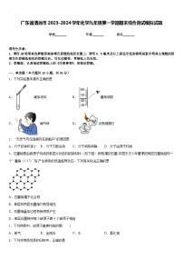 广东省清远市2023-2024学年化学九年级第一学期期末综合测试模拟试题含答案