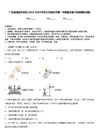 广东省清远市名校2023-2024学年九年级化学第一学期期末复习检测模拟试题含答案