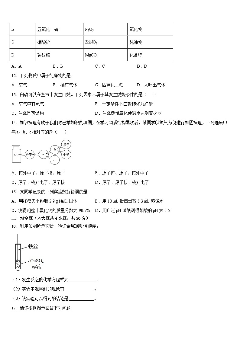 广东省深圳市宝安、罗湖、福田、龙华四区2023-2024学年化学九年级第一学期期末考试模拟试题含答案第3页