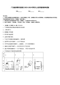 广东省深圳市宝安区2023-2024学年九上化学期末联考试题含答案