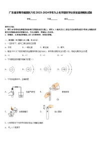 广东省深圳市福田区八校2023-2024学年九上化学期末学业质量监测模拟试题含答案