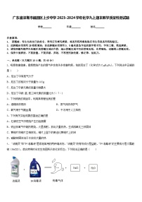 广东省深圳市福田区上步中学2023-2024学年化学九上期末教学质量检测试题含答案