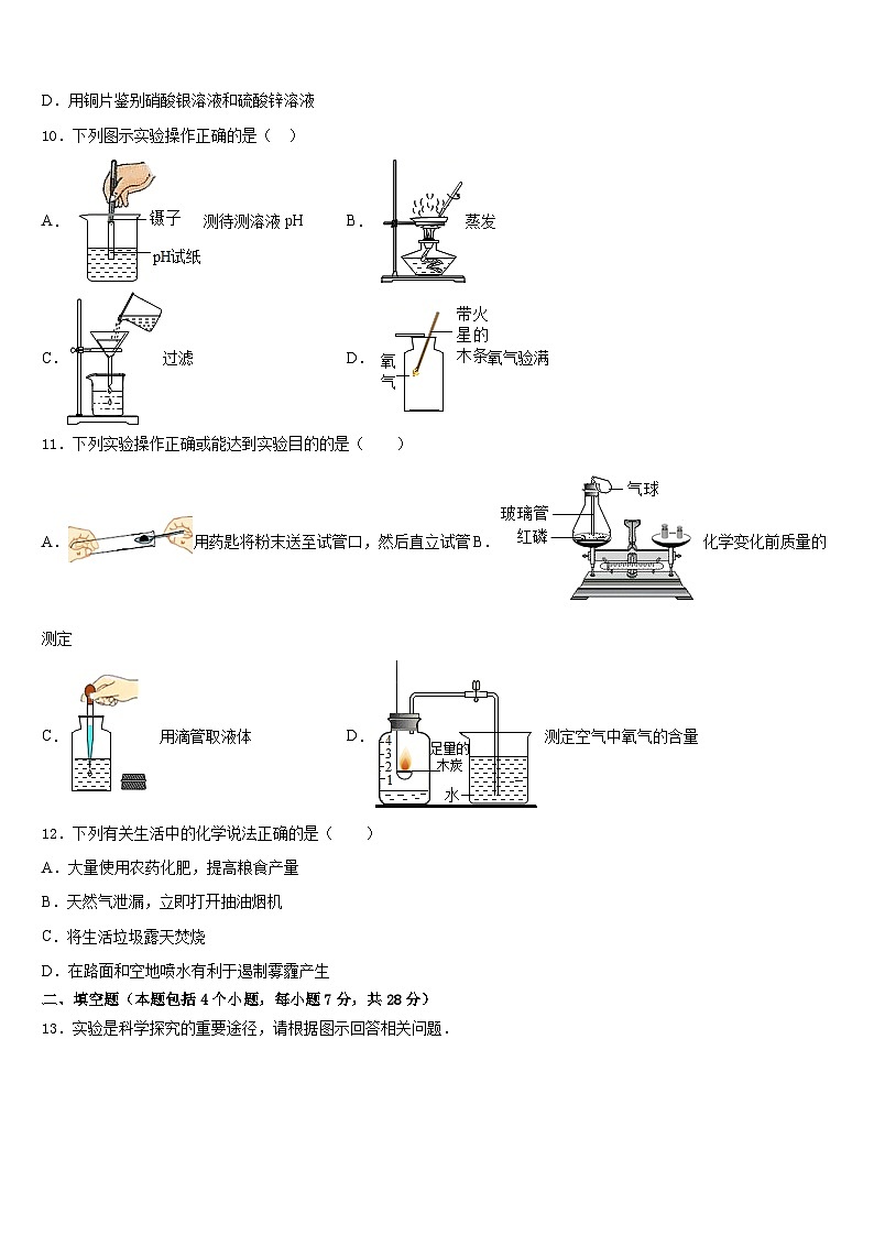 广东省深圳市龙岗区大鹏新区华侨中学2023-2024学年九年级化学第一学期期末监测模拟试题含答案第3页