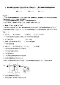 广东省深圳市龙岗区六约学校2023-2024学年九上化学期末综合测试模拟试题含答案