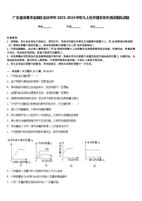 广东省深圳市龙岗区龙岭中学2023-2024学年九上化学期末综合测试模拟试题含答案