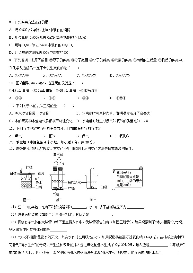 广东省深圳市龙岗区石芽岭学校2023-2024学年九年级化学第一学期期末检测模拟试题含答案第3页