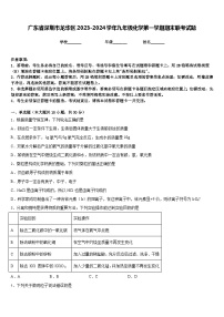 广东省深圳市龙华区2023-2024学年九年级化学第一学期期末联考试题含答案