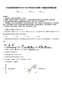 广东省深圳市桃源中学2023-2024学年化学九年级第一学期期末联考模拟试题含答案