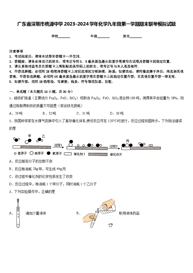 广东省深圳市桃源中学2023-2024学年化学九年级第一学期期末联考模拟试题含答案第1页