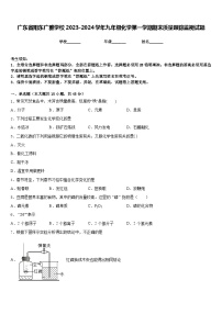 广东省阳东广雅学校2023-2024学年九年级化学第一学期期末质量跟踪监视试题含答案